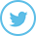 twitter-icon